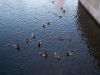 100_0223.JPG