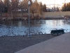 100_0230.JPG