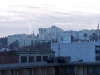 100_0247.JPG