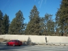 100_0263.JPG