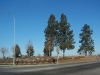 100_0267.JPG