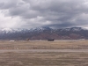100_0296.JPG